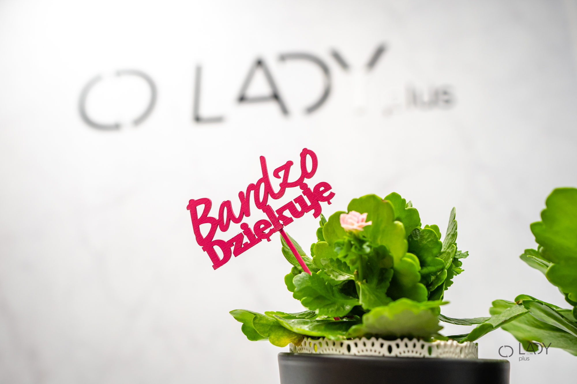 Butiky XL dámské oblečení ve velkých velikostech těhotenské oblečení Rzeszów Polsko